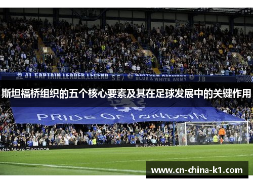 斯坦福桥组织的五个核心要素及其在足球发展中的关键作用