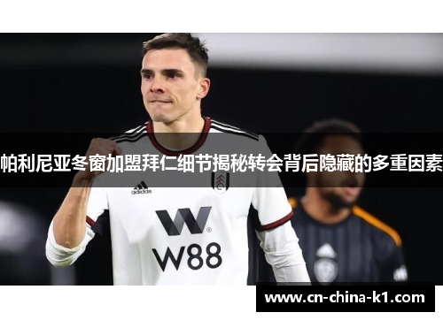 帕利尼亚冬窗加盟拜仁细节揭秘转会背后隐藏的多重因素 帕利尼亚冬窗加盟拜仁细节揭秘转会背后隐藏的多重因素