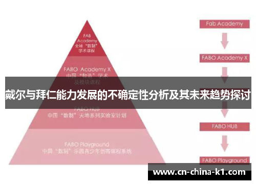 戴尔与拜仁能力发展的不确定性分析及其未来趋势探讨 戴尔与拜仁能力发展的不确定性分析及其未来趋势探讨