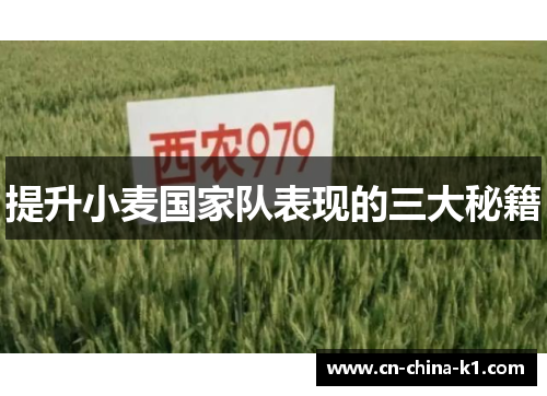 提升小麦国家队表现的三大秘籍 提升小麦国家队表现的三大秘籍